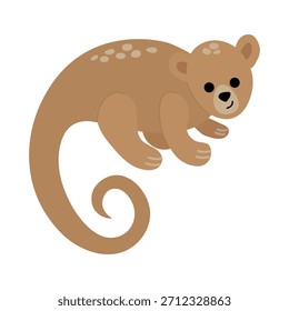 Desenho Animado Ilustração de um Cuscus. Fundo branco, isolar	
