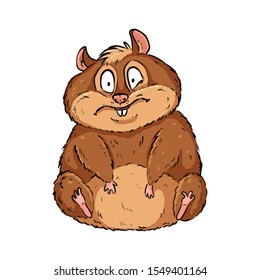 Cartoon illustration of a cute fat frustrated hamster. Comic style pet doodle