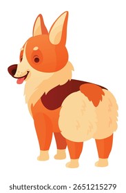 Cartoon illustration of a cute welsh corgi dog standing on all fours and turning its head back, showing its fluffy butt, isolated on white background
