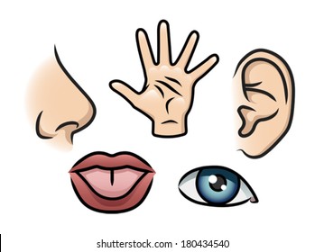 A cartoon illustration depicting the 5 senses. Smell, touch, hearing, taste and sight. 