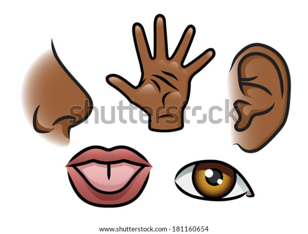 Cartoon Illustration Depicting 5 Senses Smell Stock Vector (Royalty ...