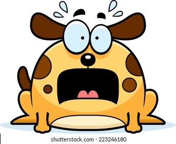 Frightened Dog Images, Stock Photos & Vectors | Shutterstock