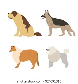 Cartoon  illustration dogs breeds German Shepherd, Collie, Saint Bernard, Poodle -  isolated on  white background.