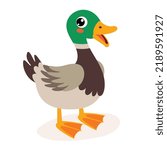 Cartoon Illustration Of A Duck