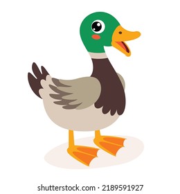 Cartoon Illustration Of A Duck