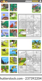 Cartoon illustration of educational jigsaw puzzle activities set with birds animal characters group