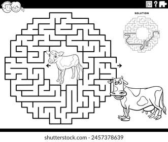 Cartoon illustration of educational maze puzzle game for children with calf and cow animal characters coloring page
