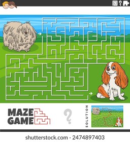 Cartoon illustration of educational maze puzzle game with komondor and cavalier purebred dogs animal characters