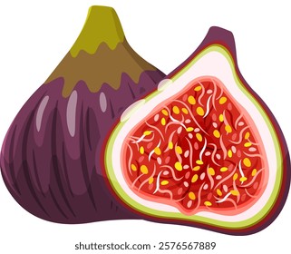 Cartoon illustration featuring a whole fresh fig alongside a halved fig, revealing its vibrant red pulp filled with tiny seeds, all set against a crisp white background