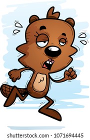 A cartoon illustration of a female beaver running and looking exhausted.