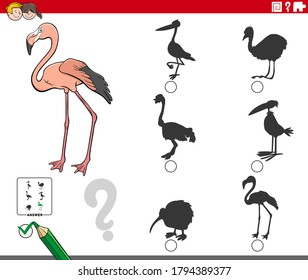 Ilustración de dibujos animados para encontrar la sombra derecha del juego educativo de imágenes para niños con carácter animal de ave flamenca