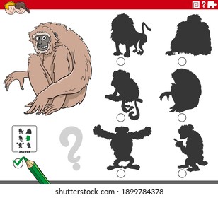Ilustración de caricatura de encontrar la sombra correcta en el juego educativo de imagen para niños con personaje animal de mono gibónico