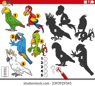 Cartoon illustration of finding the right shadows to the pictures educational game with parrots birds animal characters