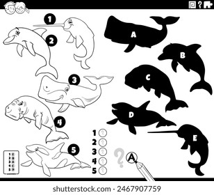 Cartoon illustration of finding the right shadows to the pictures educational activity with marine mammals animal characters coloring page