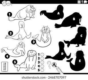 Ilustración de dibujos animados de la búsqueda de las sombras adecuadas a las imágenes actividad educativa con sellos y morsas personajes animales para colorear página