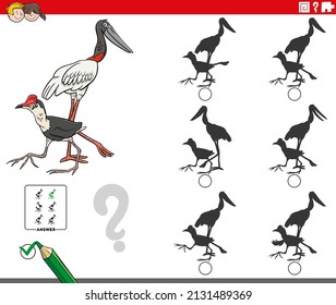 Cartoon illustration of finding the shadow without differences educational game for children with jacana and jabiru birds animal characters