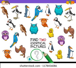 Cartoon Illustration of Finding Two Identical Pictures Educational Game for Children with Birds Animal Characters