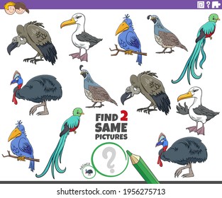 Cartoon illustration of finding two same pictures educational game with funny birds comic animal characters