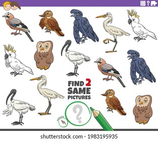 Cartoon illustration of finding two same pictures educational game with comic birds animal characters