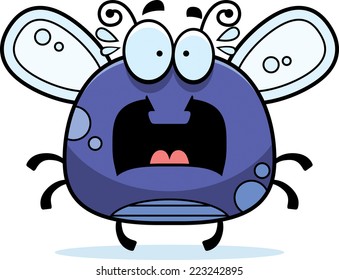 A cartoon illustration of a fly looking scared.