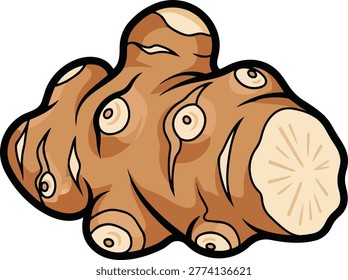 A cartoon illustration of a fresh ginger root vegetable, showcasing its unique shape and texture with detailed lines and shading.