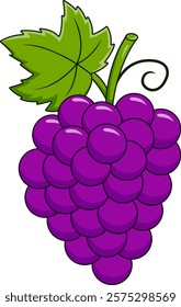 cartoon illustration of fresh grapes