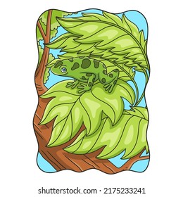 cartoon illustration the frog is on the leaf of a tree that is thick and high in the middle of the forest