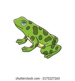 Cartoon Illustration A Frog That Is On A Big Tall Tree With Thick Tree Trunks Around It