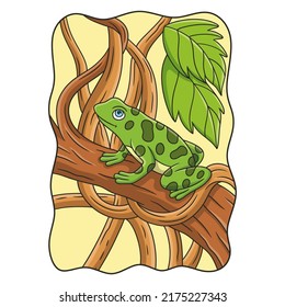 Cartoon Illustration A Frog That Is On A Big Tall Tree With Thick Tree Trunks Around It