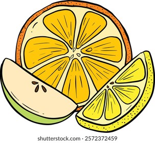 Cartoon Illustration Fruit Slice Orange Apple Lime or Lemon Vector