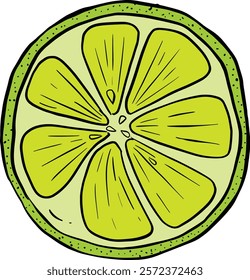 Cartoon Illustration Fruit Slice Orange Apple Lime or Lemon Vector