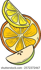 Cartoon Illustration Fruit Slice Orange Apple Lime or Lemon Vector