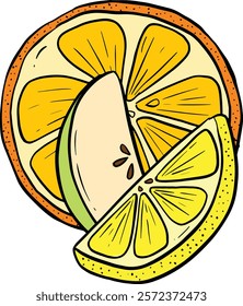 Cartoon Illustration Fruit Slice Orange Apple Lime or Lemon Vector