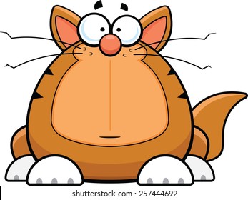 Cartoon illustration of a funny cat with a worried expression. 