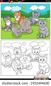 Cartoon illustration of funny cats characters group coloring book page