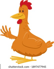 Cartoon illustration of funny chicken or hen farm bird animal character
