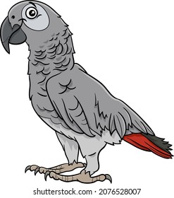 Ilustración de dibujos animados de cómico de aves loro grises graciosas