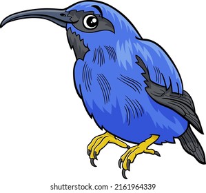 Cartoon illustration of funny honeycreeper bird animal character