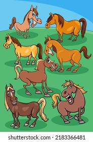 Cartoon illustration of funny horses farm animal characters in the meadow