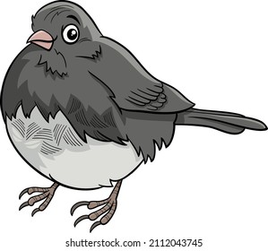 Cartoon illustration of funny junco bird animal character