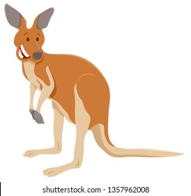 Cartoon Illustration of Funny Kangaroo Wild Animal Character