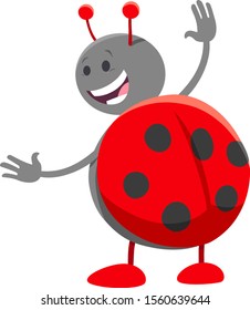 Cartoon Illustration of Funny Ladybug Insect Comic Animal Character