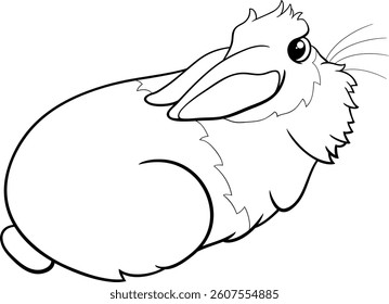 Cartoon illustration of funny lying miniature rabbit comic animal character coloring page coloring page