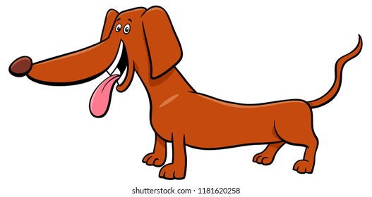 Cartoon Illustration of Funny Purebred Dachshund Dog Animal Character