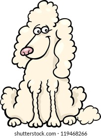 Cartoon Illustration of Funny Purebred White Poodle