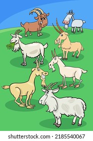 Cartoon illustration of goats farm animal characters in the meadow