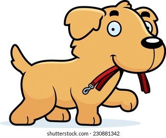 A cartoon illustration of a Golden Retriever walking with a leash in his mouth.