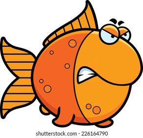 A cartoon illustration of a goldfish with an angry expression.