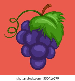 Cartoon Illustration of a Grape