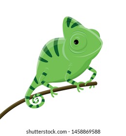 cartoon illustration of a green chameleon